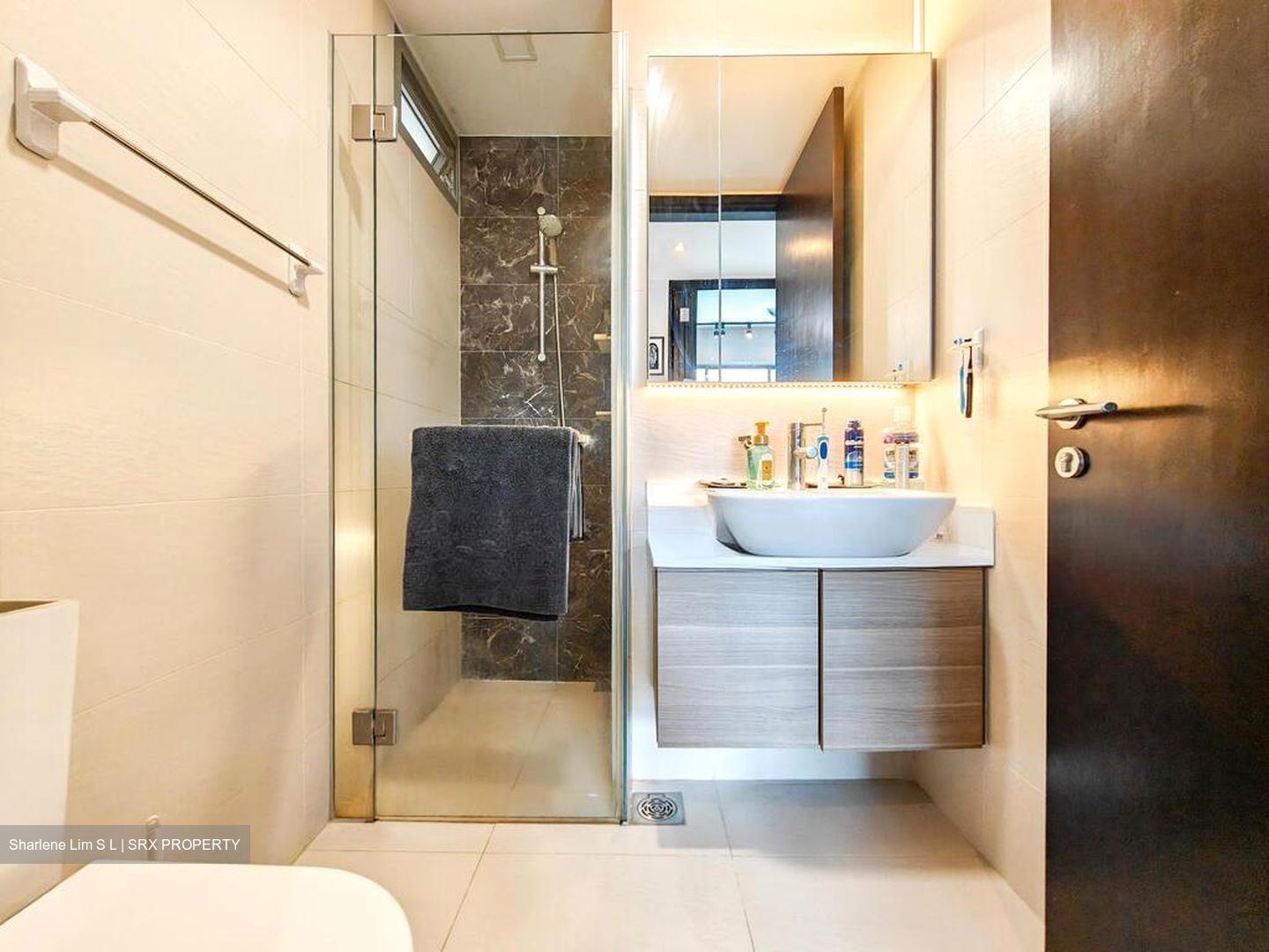 Skies Miltonia (D27), Condominium #498869061